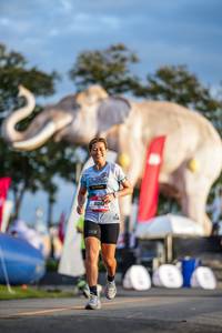 BIB: 
                            <button type="button" onclick="openModal(26541181)" class="btn btn-primary btn-sm float-right btn-popup" data-toggle="modal" data-target=".modal-high-quality">
                        <i class="fas fa-shopping-cart"></i> Add to Cart
                    </button>
                                            <button type="button" onclick="isThisMe(26541181, true)" class="btn btn-success btn-sm float-right btn-popup btn-isme hidden" data-toggle="tooltip" data-placement="bottom" title="นี่คือรูปของคุณใช่ไหม คลิกที่นี่เพื่อเอาเข้าอัลบั้ม">
                        <i class="fas fa-plus"></i> Add to album
                    </button>
                    <button type="button" onclick="isThisMe(26541181, false)" class="btn btn-warning btn-sm float-right btn-popup btn-isnotme hidden">
                        <i class="fas fa-ban"></i> Remove from album
                    </button>